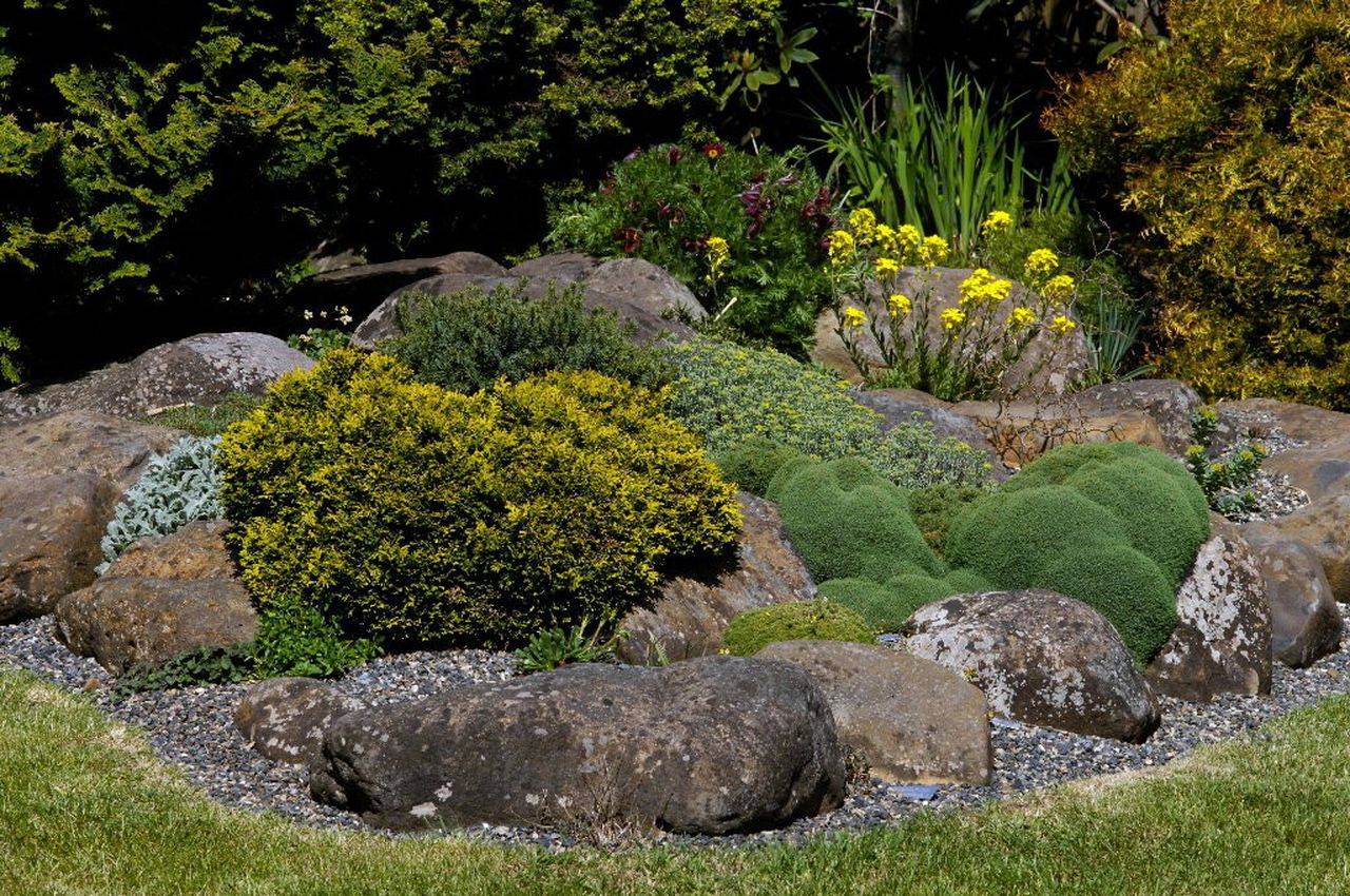 Рокарий в ландшафтном дизайне — 105 фото лучших идей и обзор современных решений при оформлении сада или участка