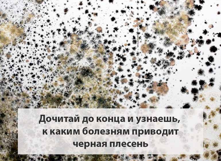 Как избавиться от чёрной плесени — советы, проверенные способы и средства