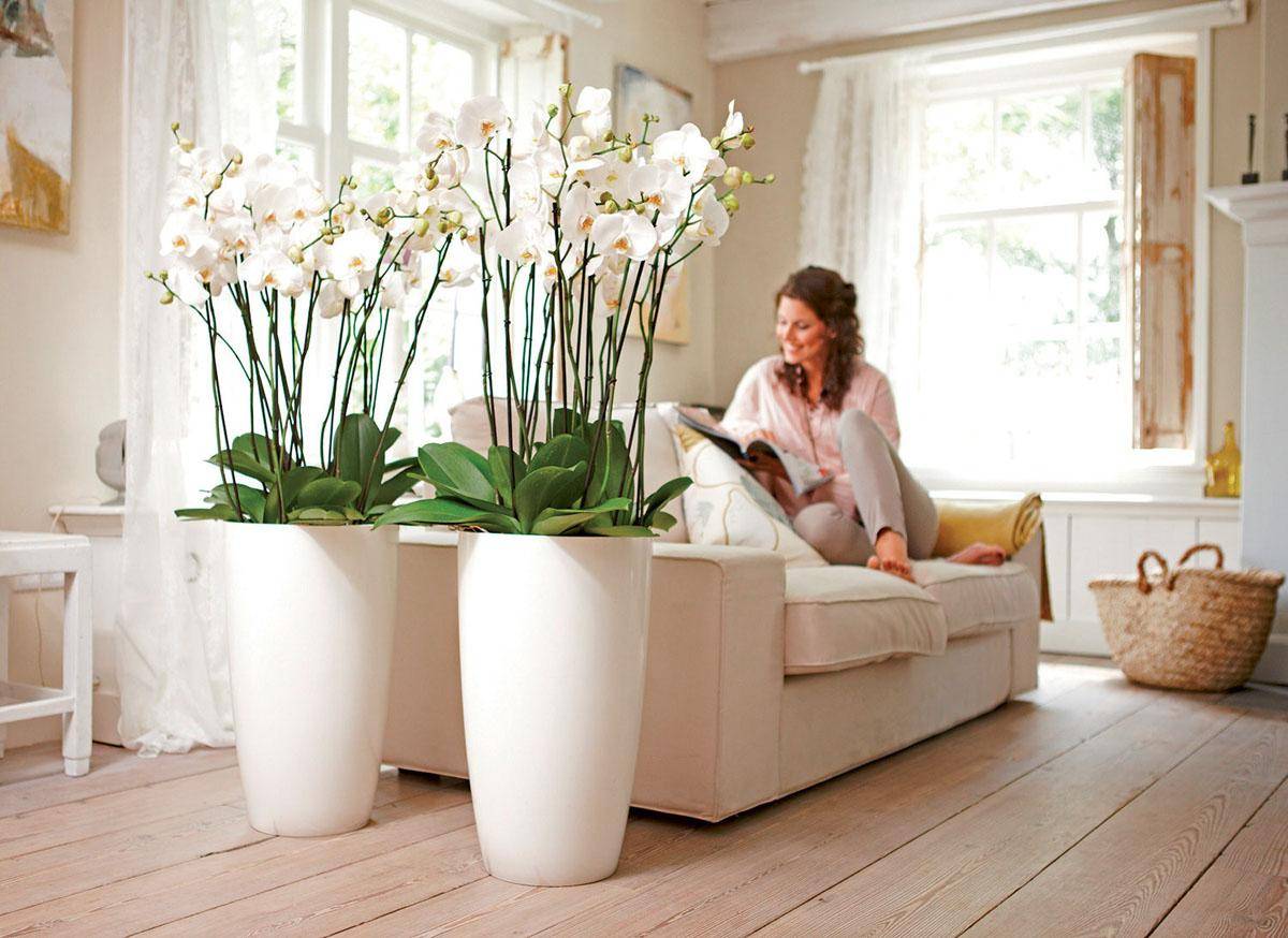 Искусственные растения для домашнего интерьера - как правильно украсить