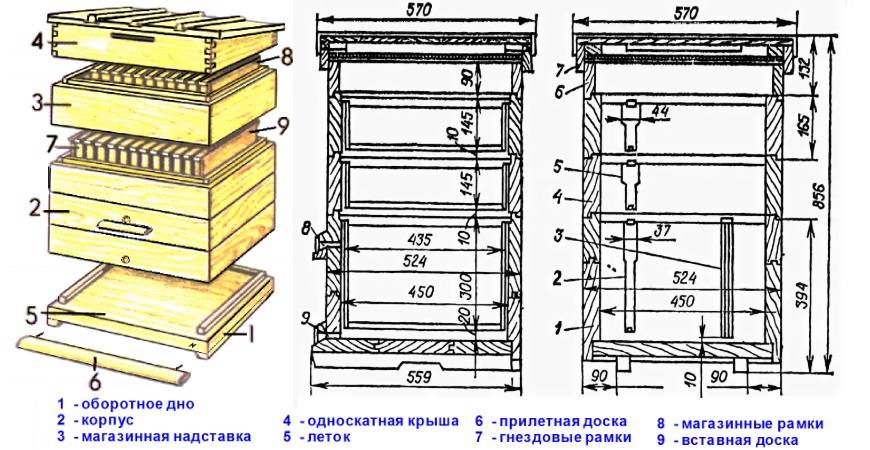 Чертеж улья дадана на 12 рамок