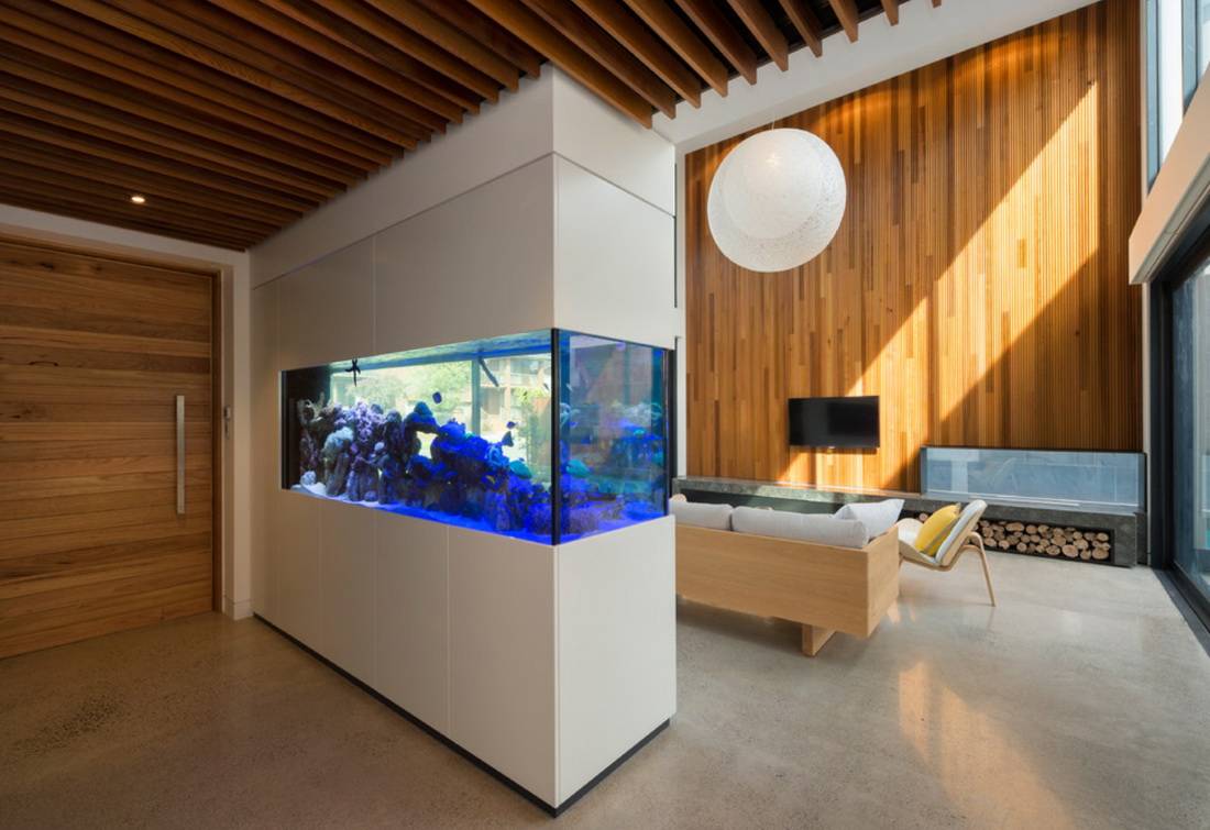 Круглый аквариум в интерьере: 70 фото идей оформления интерьера