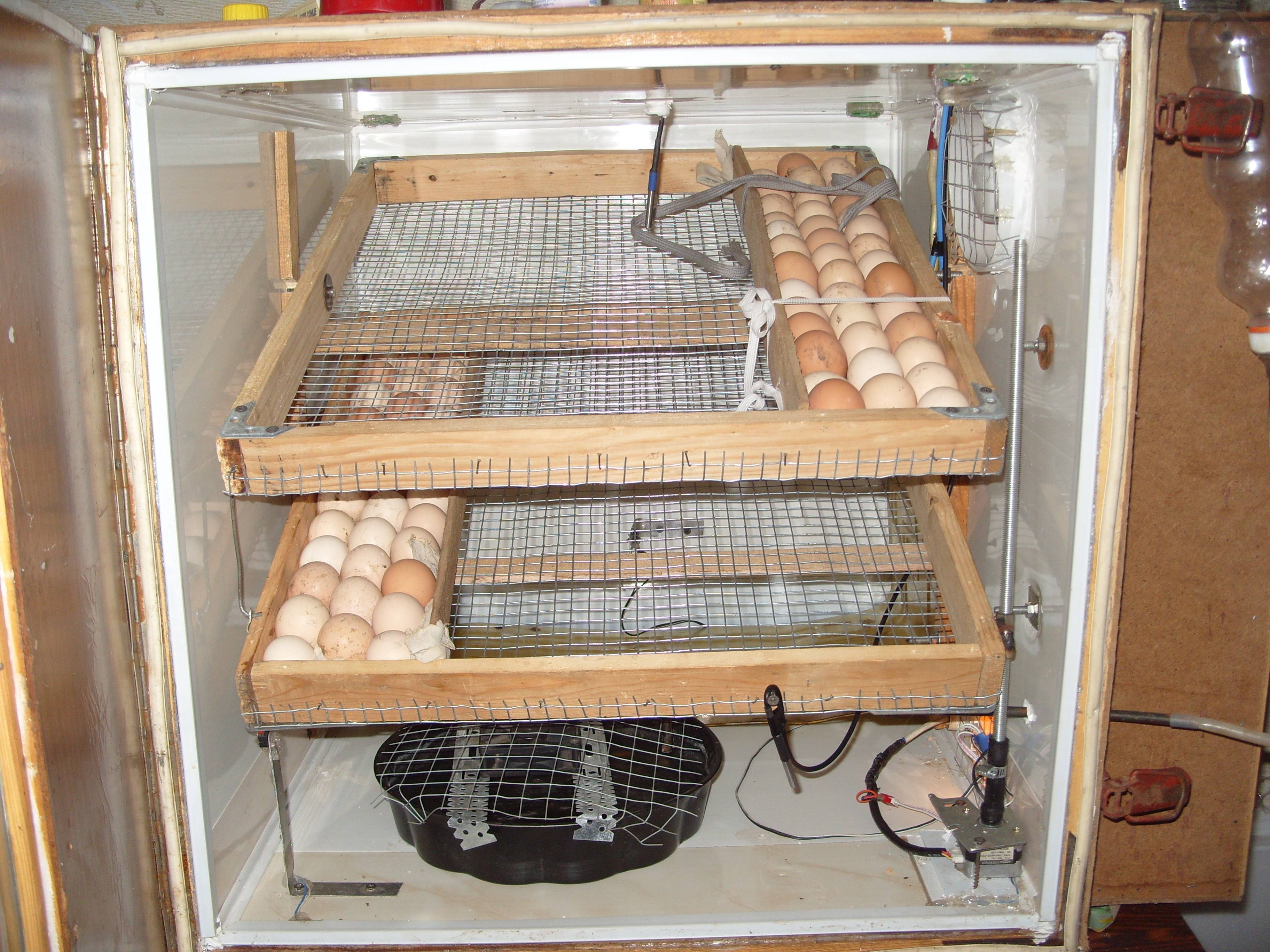 Как сделать инкубатор для яиц своими руками в домашних условиях