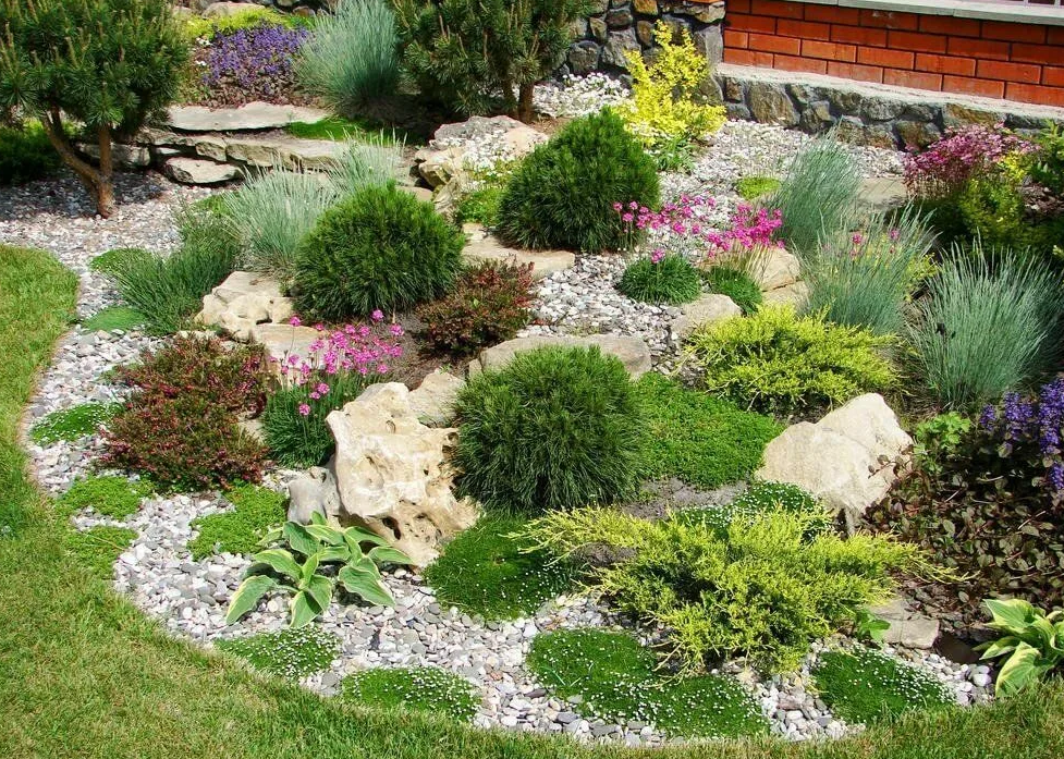 Рокарий: виды и особенности подбора для создания сада камней (145 фото)
