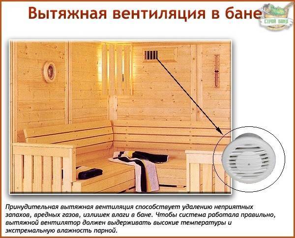 Вентиляция в предбаннике бани: как сделать своими руками, схема вытяжки для комнаты отдыха