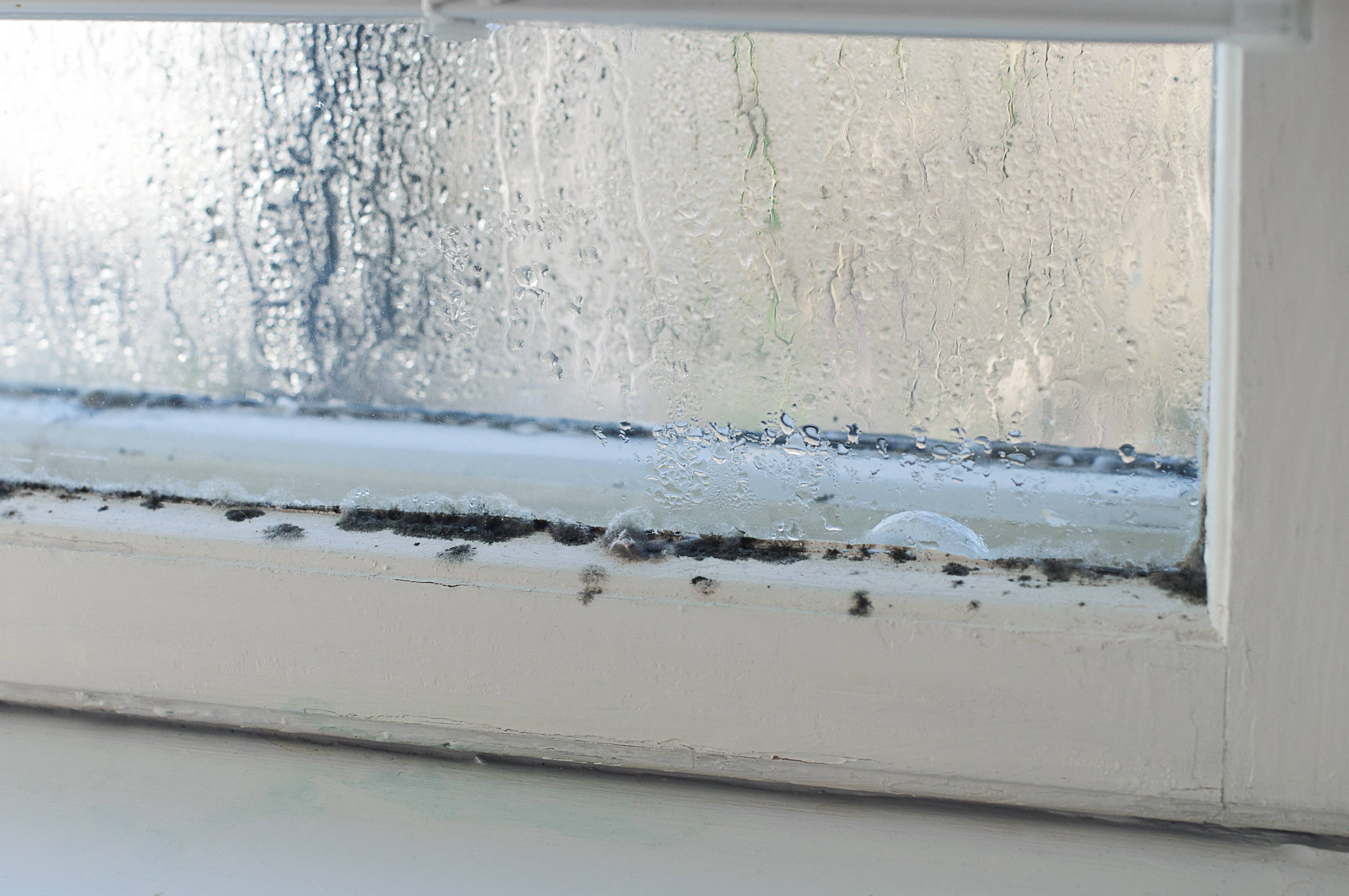 Конденсат на пластиковых окнах. причины появления и способы устранения конденсата
