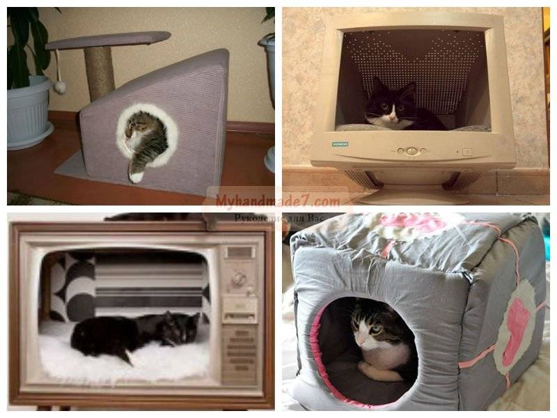 Домики когтеточки для кошек: виды и описание. делаем своими руками