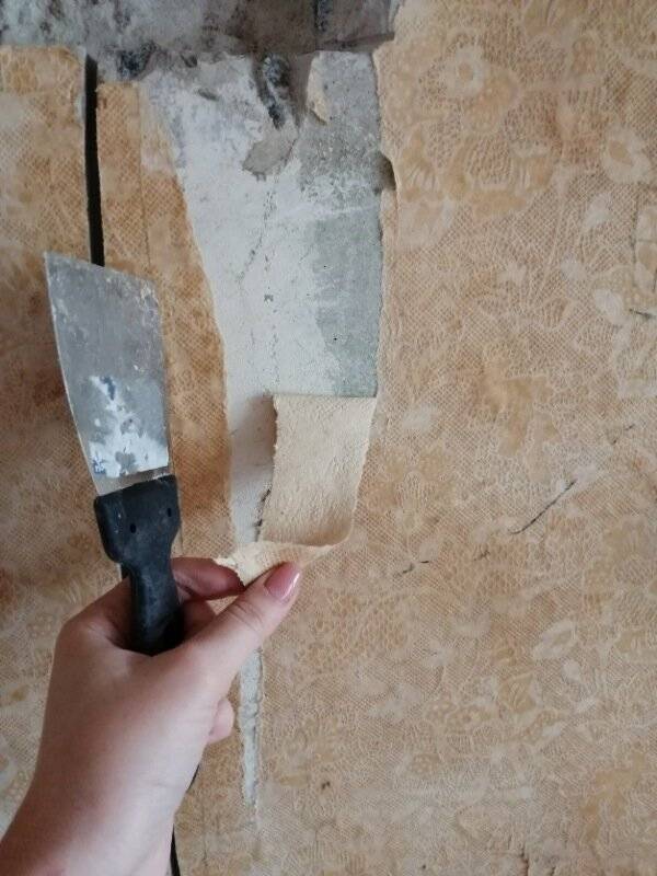 Как ободрать старые обои. Инструмент для снятия обоев со стен. Приспособление для снятия старых обоев со стен. Очистка стен. Снятие старых обоев.