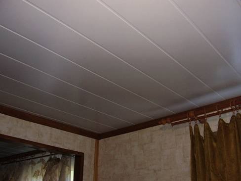 Потолок из пластиковых панелей на кухне + фото
