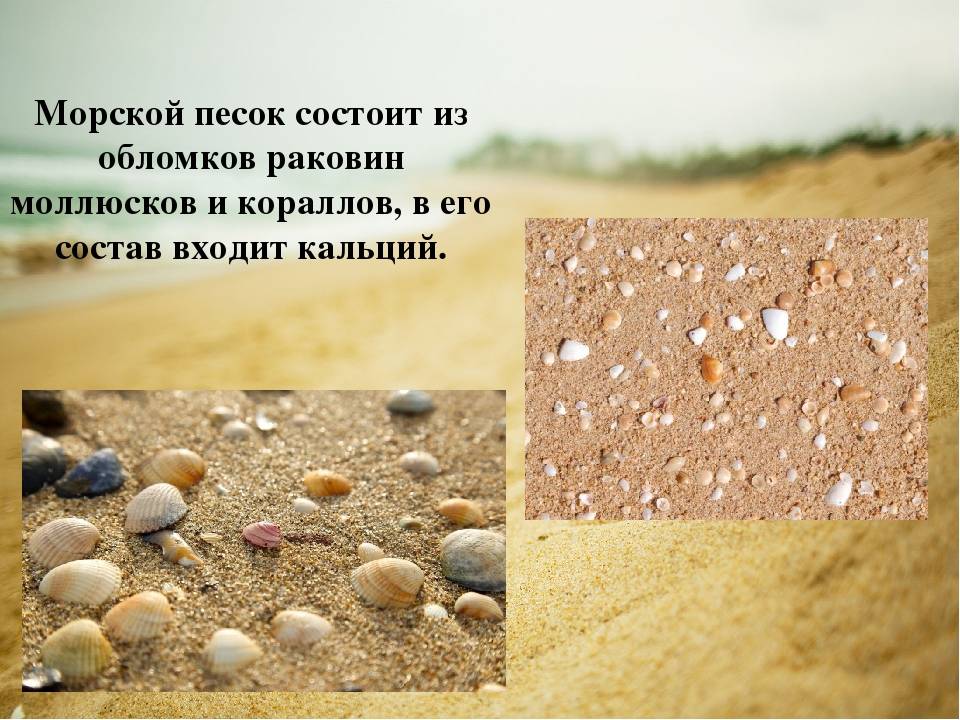 Какой песок нужен для подушки под фундамент: речной или карьерный