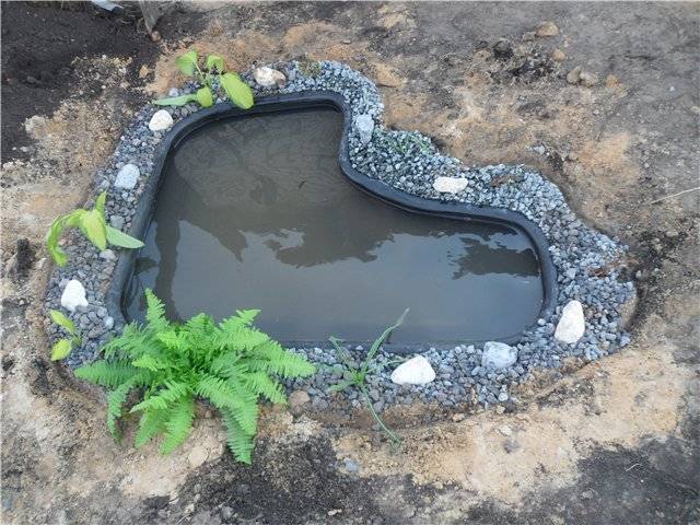 Два самых простых и быстрых способа создания пруда в саду