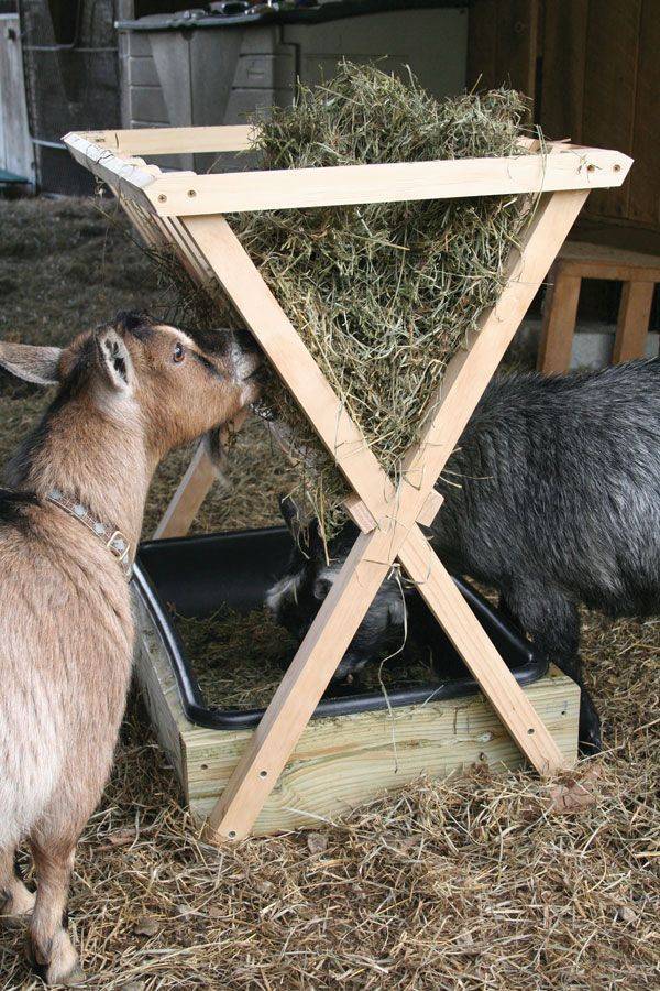 Кормушки для коз под зерно