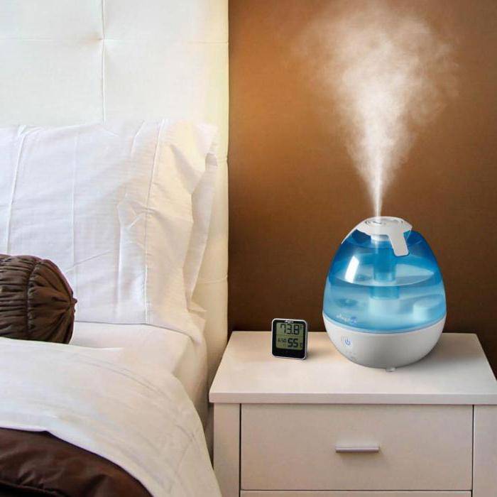 10 способов освежить воздух в квартире - health info