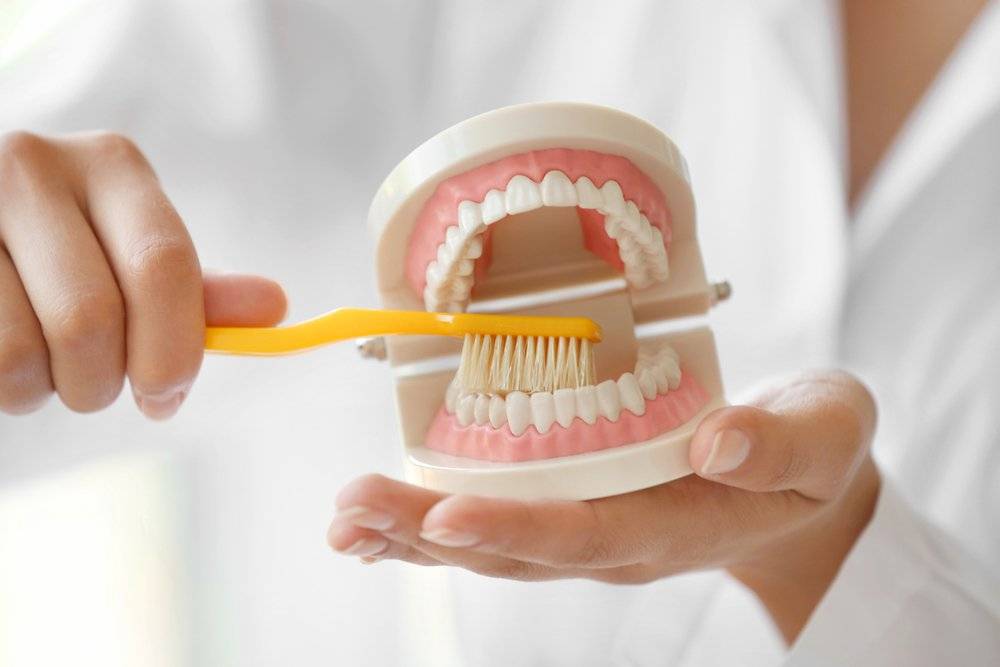 Как правильно чистить зубы| listerine® (листерин®)