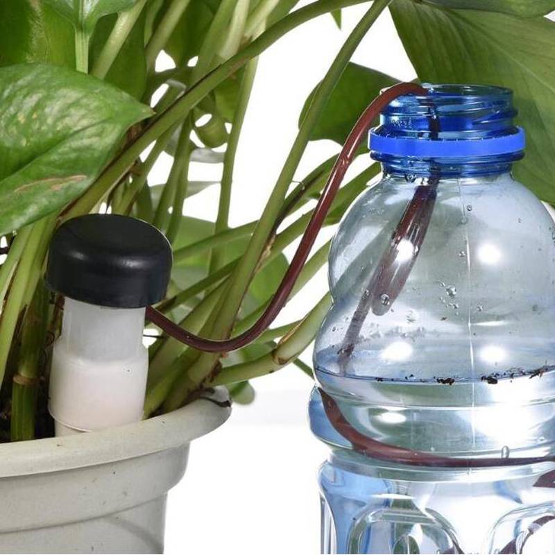 Система автополива для комнатных растений – организация самостоятельного поступления воды своими руками