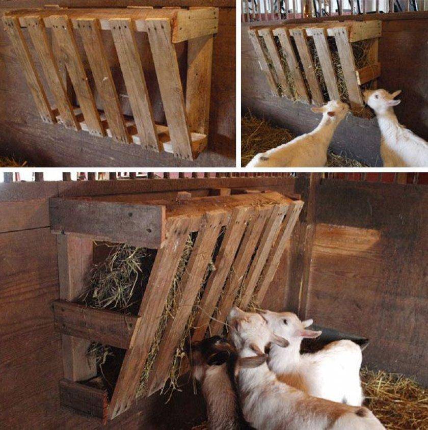Кормушка для коз своими руками + фото