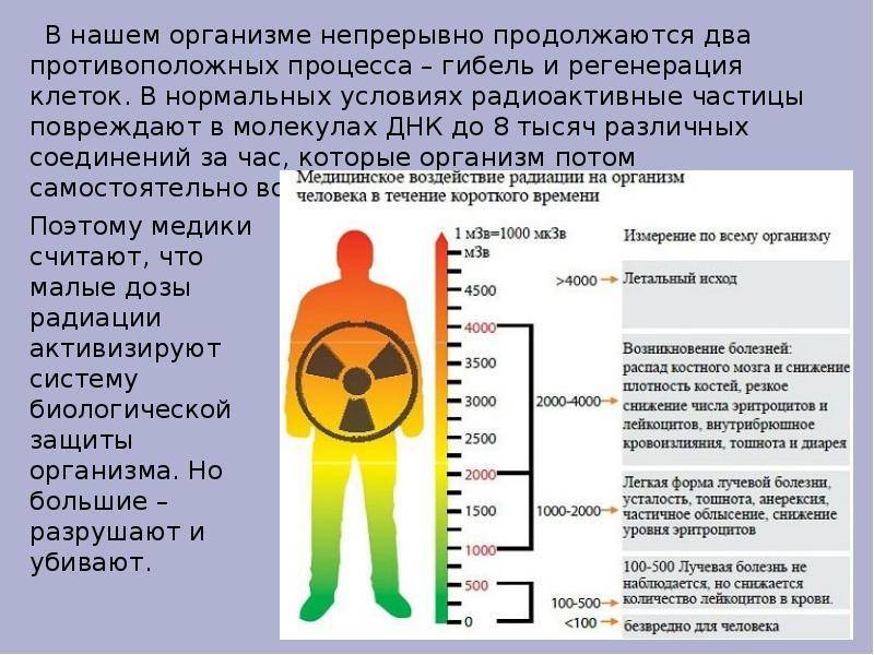 Норма радиации для человека: допустимая доза в мкр/ч, зивертах и микрозивертах в городе и квартире