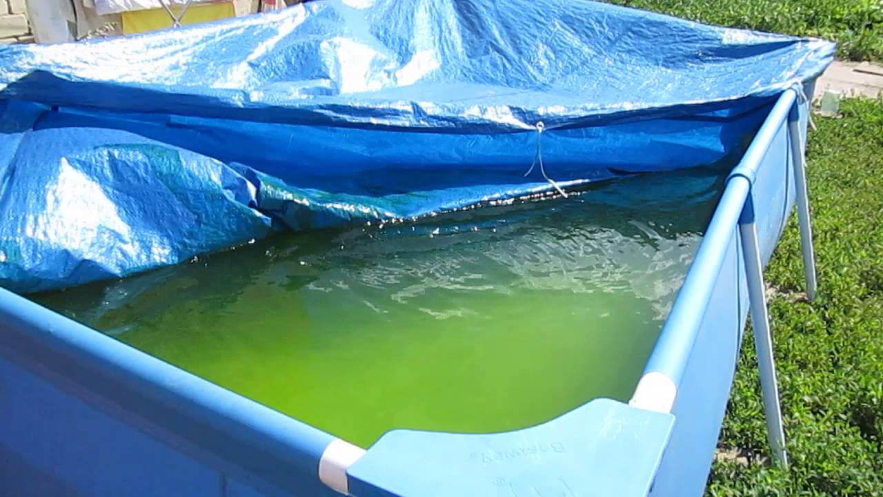 Почему вода в бассейне зеленая
