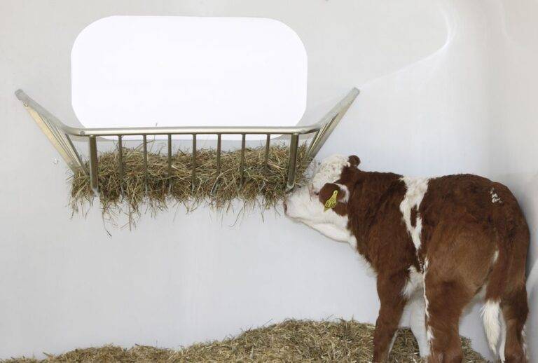 Кормушки для коров под сено своими руками