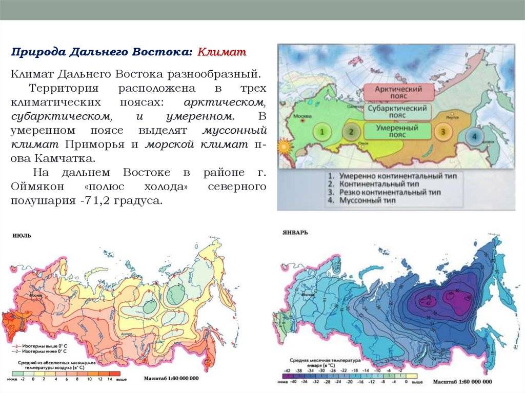 Климатические контрасты севера и юга дальнего востока - онлайн справочник для студентов