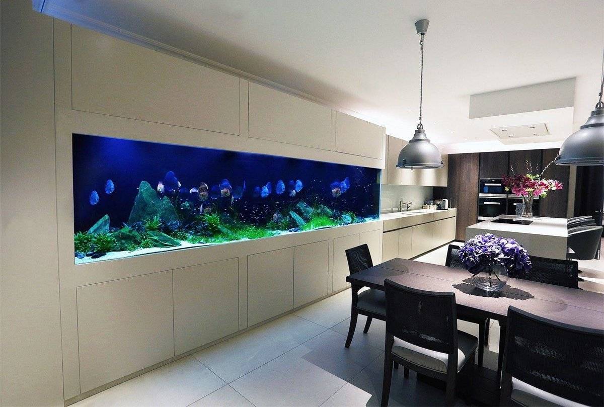 Как разнообразить интерьер квартиры или дома с помощью аквариума