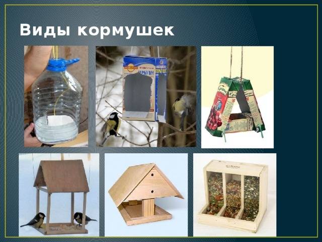 Кормушка для птиц — фото и инструкции по постройке и основные типы кормушек