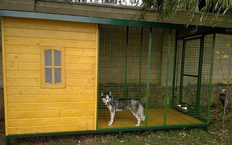 Уличная будка для собаки: домик и конура, летняя, зимняя, для выводка и другие | строй легко