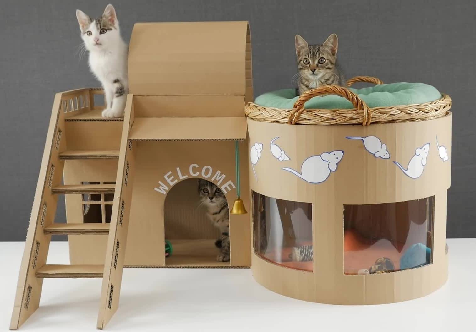 Как построить домик для кошки из коробки: делаем своими руками-  как сделать - инструкция поэтапно- чертежи и размеры- обзор +видео