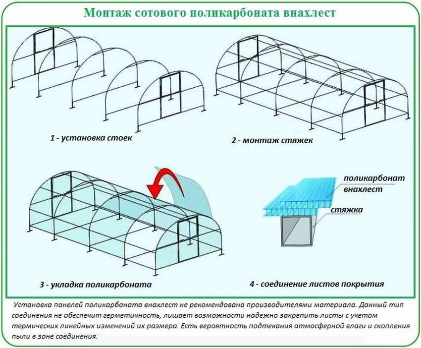 Лучший поликарбонат для теплицы: мнение эксперта + рейтинг производителей