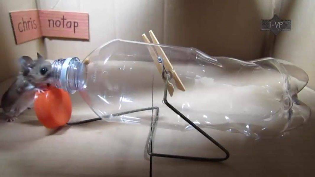 4 простых варианта мышеловки из пластиковой бутылки