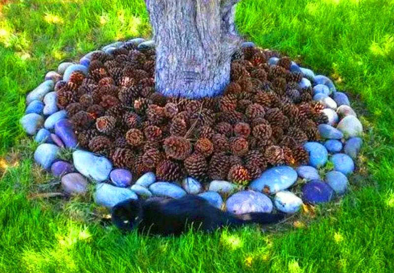 Простые варианты, какие цветы посадить под деревьями, чтобы приствольный круг плодовых деревьев выглядел на все 100! | садовый участок