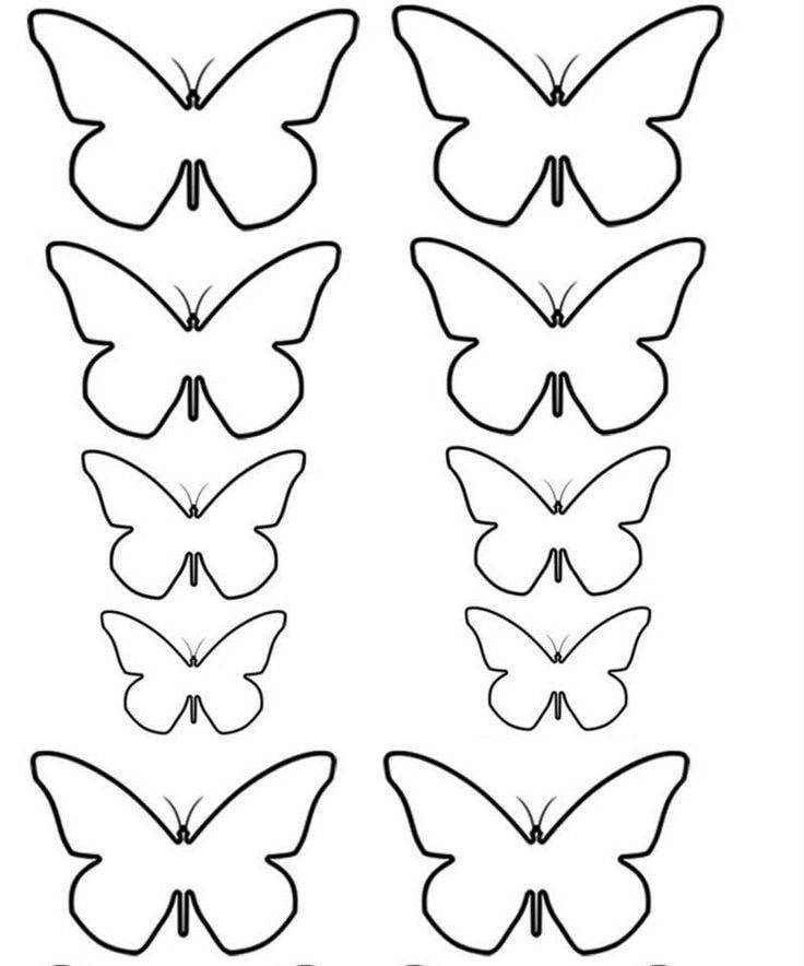 Как сделать бабочку своими руками из бумаги и картона легко