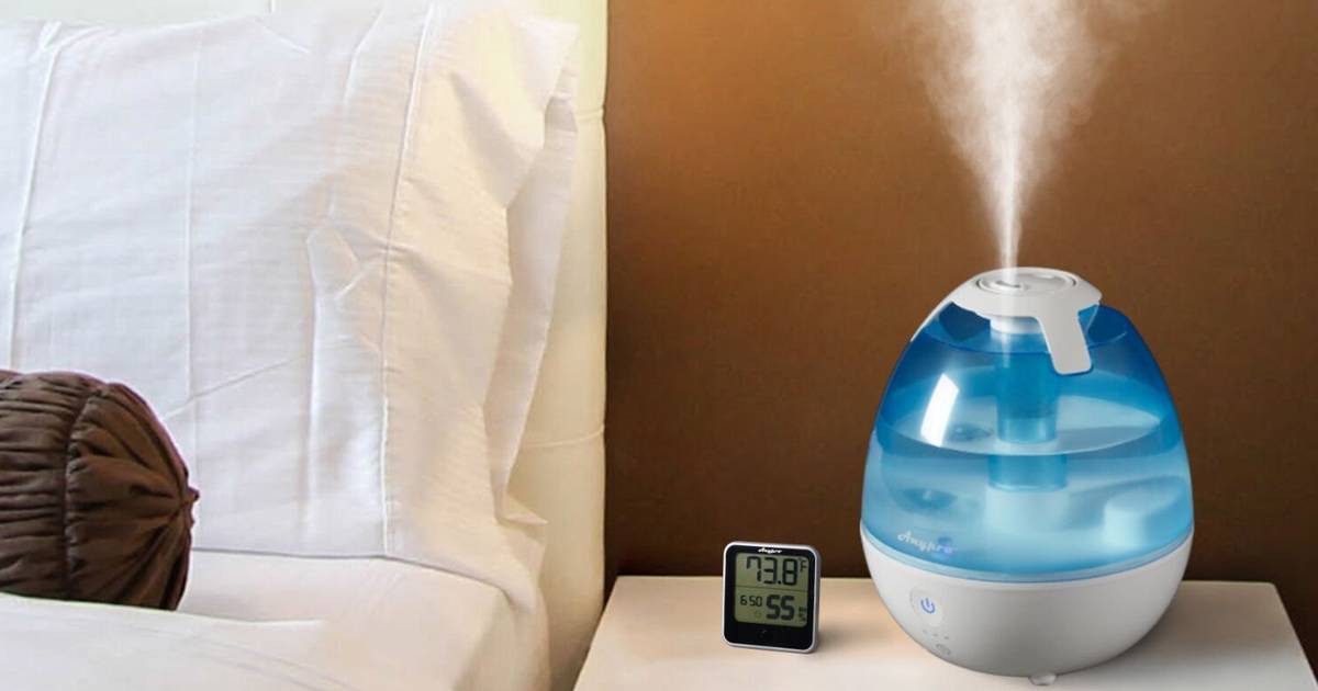 8 способов освежить воздух в квартире без бытовой химии: новости, квартира, советы, лайфхаки, полезные советы