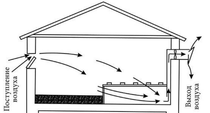 Вентиляция в птичнике схема