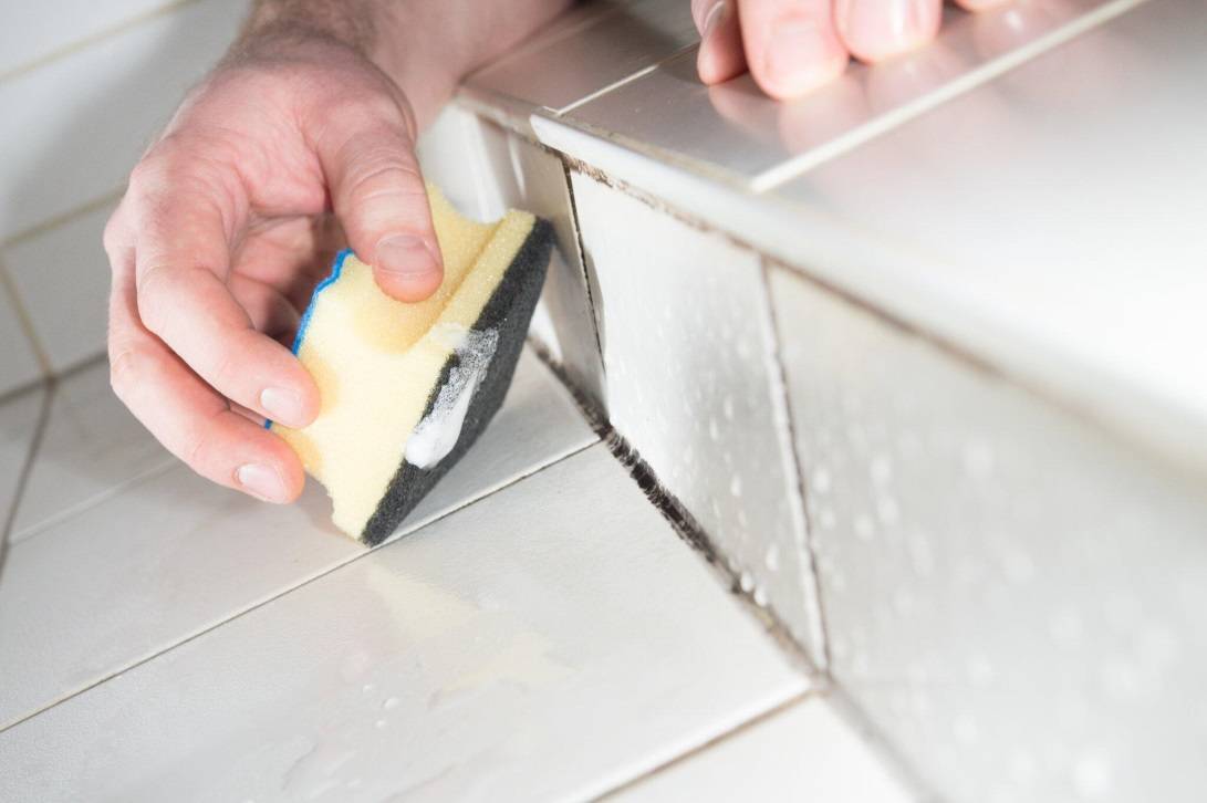 Как убрать плесень в ванной (на герметике, на потолке и плитке стен, с силикона, на шторе), обзор средств для применения в домашних условиях