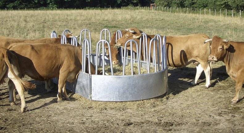 Кормушки для коров своими руками: инструкция и фото
кормушки для коров своими руками: инструкция и фото
