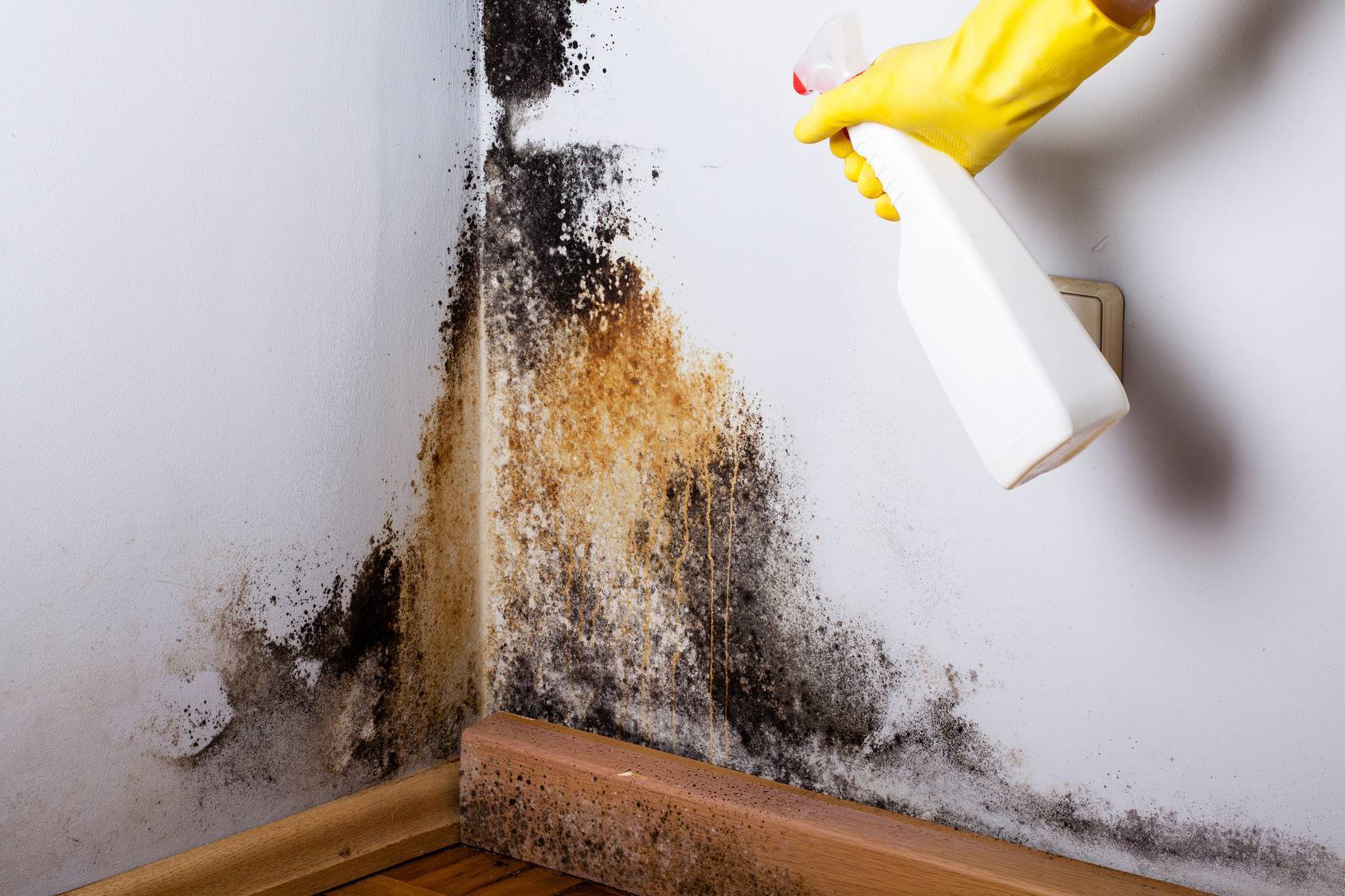 Как убрать плесень в квартире со стен своими руками: как удалить народными средствами, чем и какими химсредствами вывести в домашних условиях?