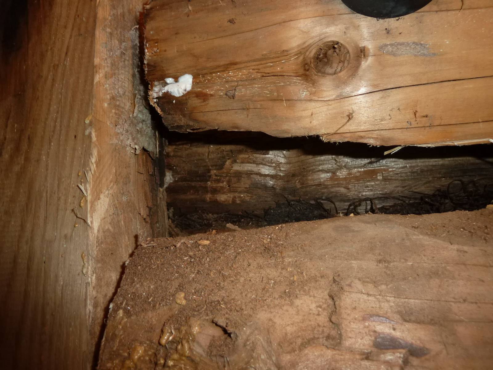 Утепление деревянного дома пеной―виды и способы