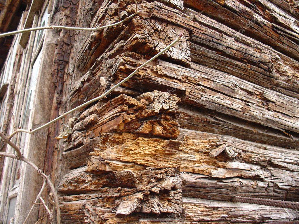 Венец деревьев. Разрушенный деревянный дом. Старый деревянный сруб. Разрушенное дерево. Разрушенная древесина дом.