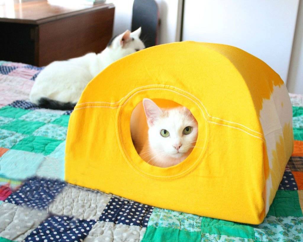 Как сделать домик для кошки своими руками: из картонной коробки, футболки, поролона и фанеры
