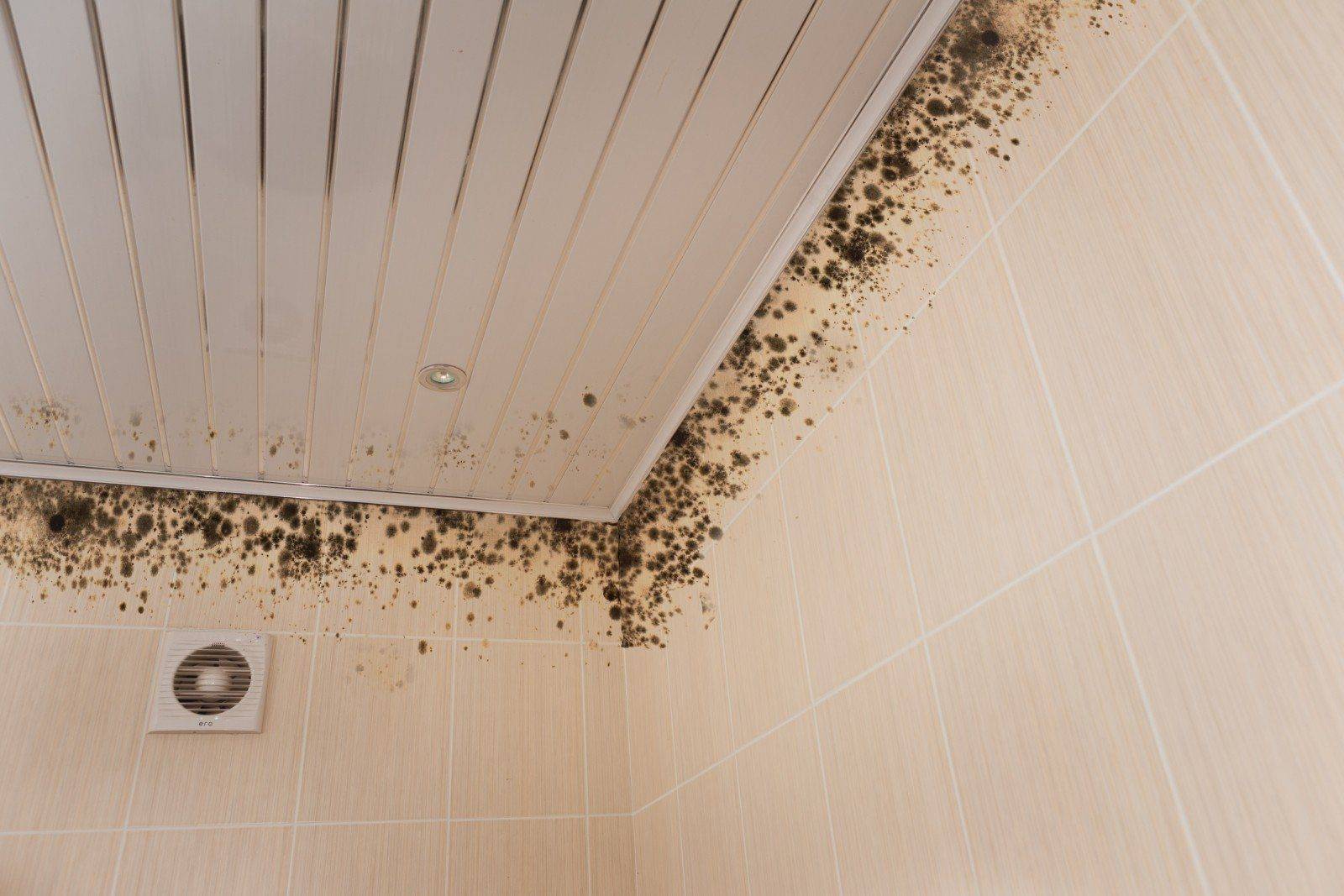 Какой потолок сделать в ванной? | zastpoyka.ru