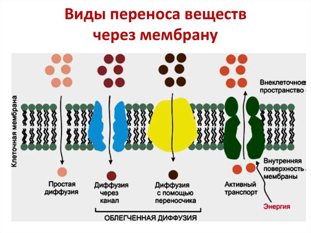 Гидроизоляционные пленки и мембраны для скатных кровель