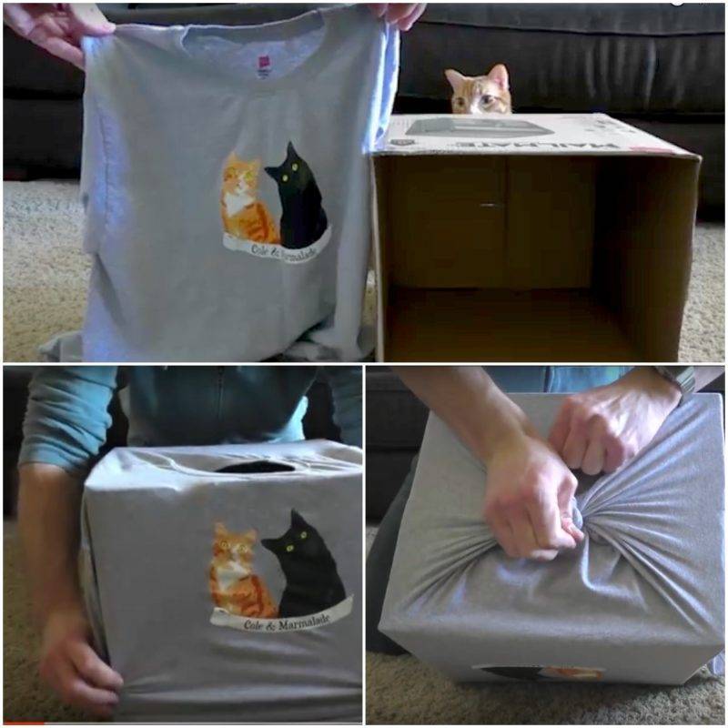 2021 ᐈ ???? (+117 фото) домик для кошки: как разместить в интерьере и сделать самому