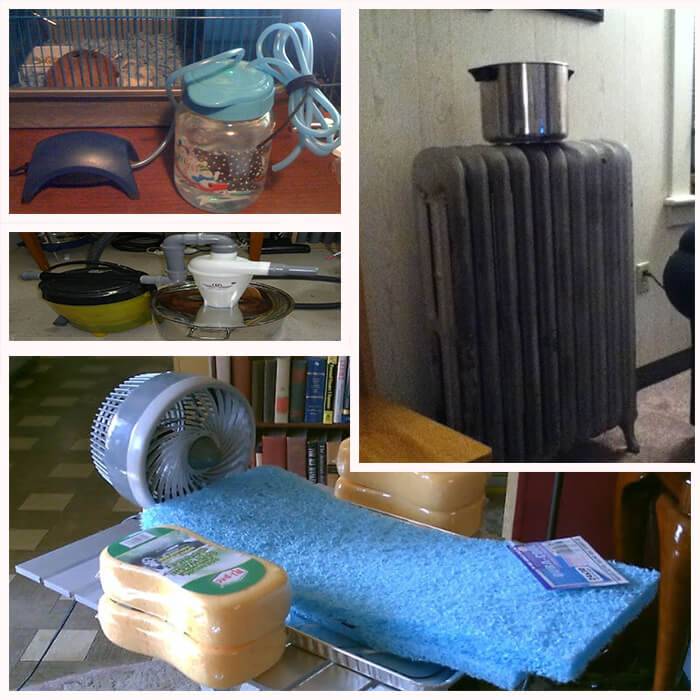 Как увлажнить воздух в квартире | 7 способов без увлажнителя