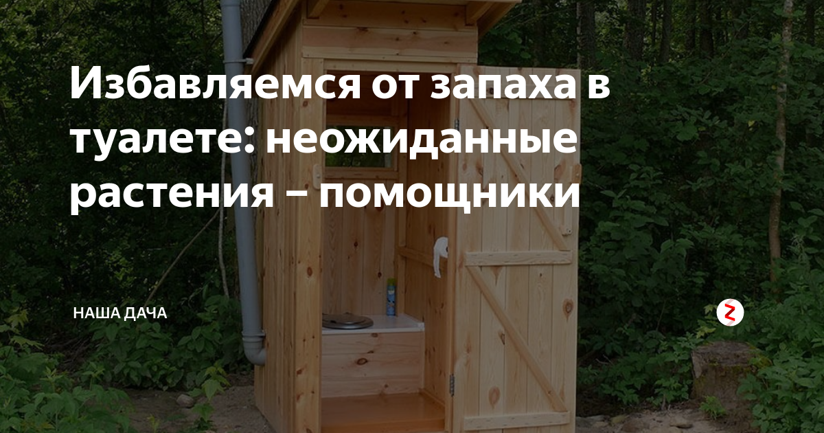 Как избавиться от запаха в дачном туалете - эффективные средства и способы