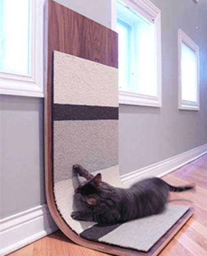 Как отучить кошку драть обои: что делать кот царапает мебель, обои которые не дерут кошки, защитить стены, жидкие обои и кошки, чем отделать стены | онлайн-журнал о ремонте и дизайне